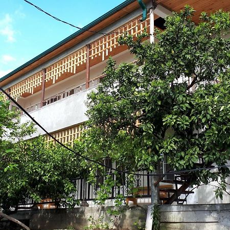 Inzhir Guest House New Athos Dış mekan fotoğraf