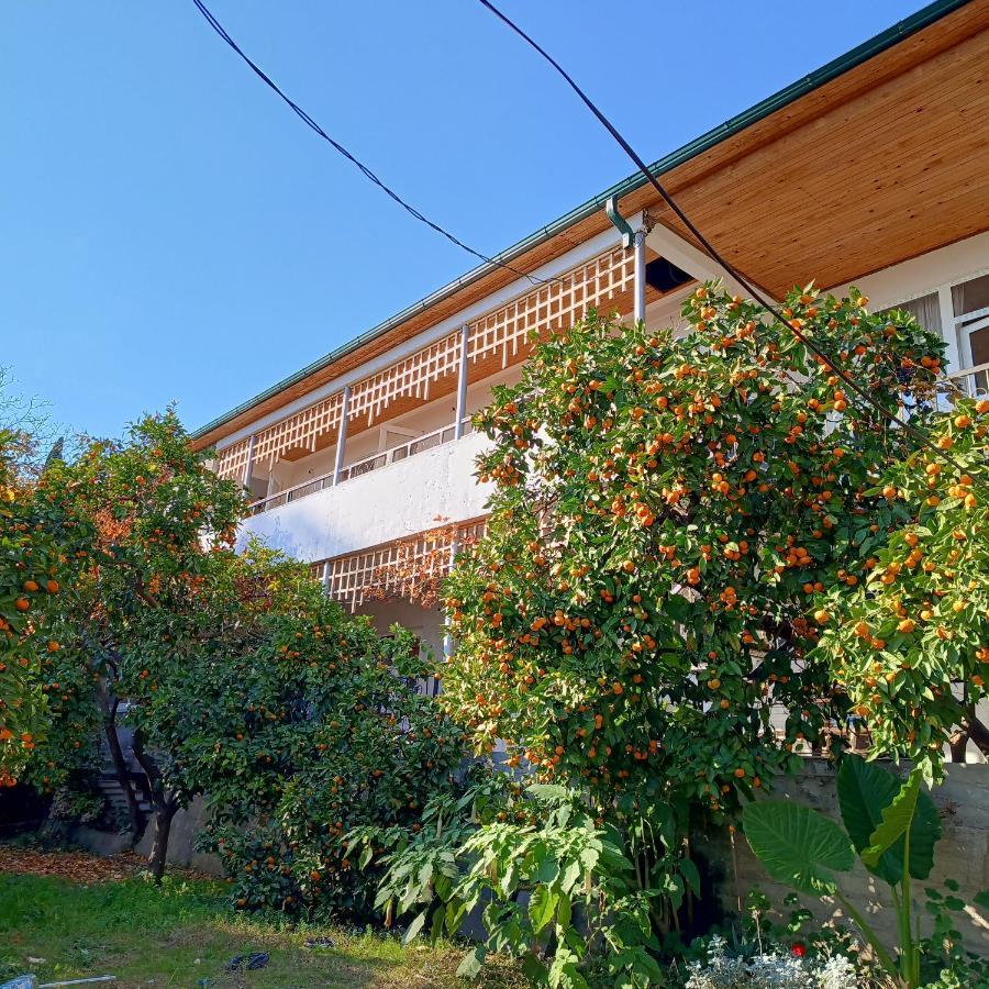 Inzhir Guest House New Athos Dış mekan fotoğraf