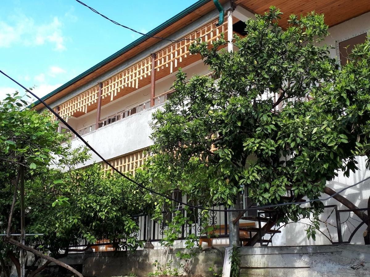 Inzhir Guest House New Athos Dış mekan fotoğraf